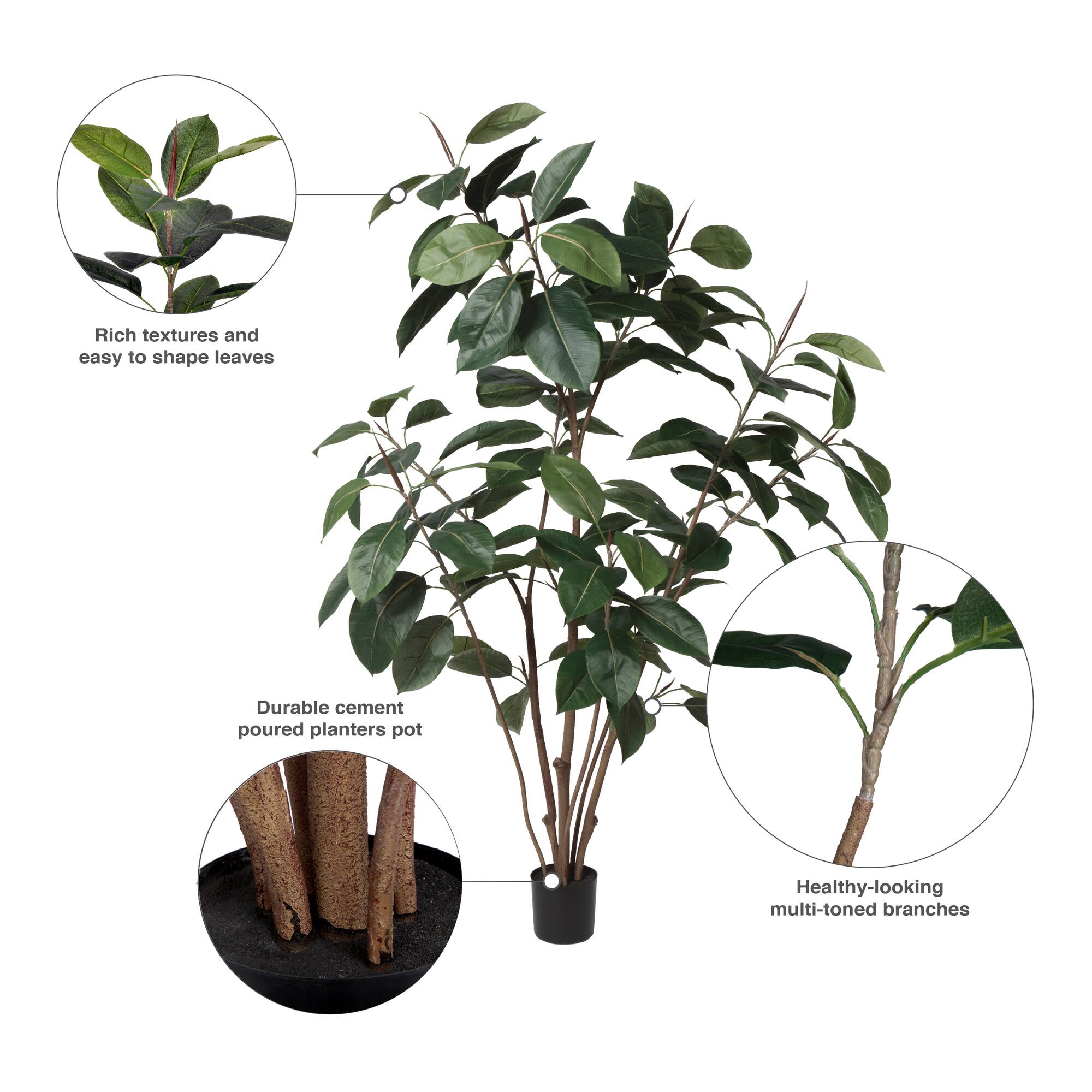 5ft. Potted Green Rubber Tree
